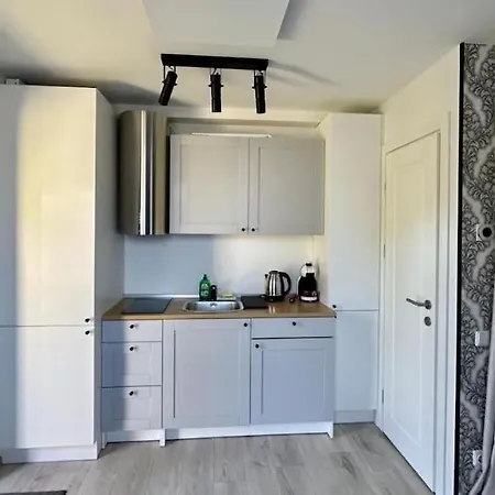 Vaivorykstes Namai With Heated Pool By Hostlovers Apartment Palanga